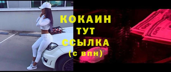 прущие грибы Белоозёрский