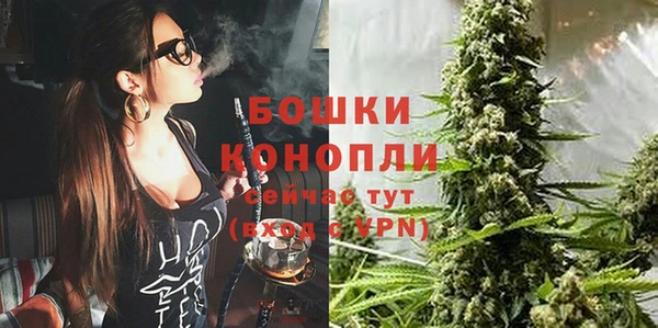 прущие грибы Белоозёрский