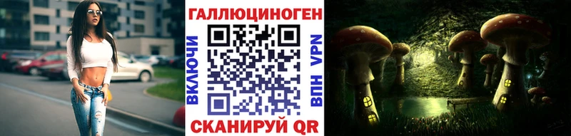 Псилоцибиновые грибы Cubensis  kraken как войти  Шахунья 