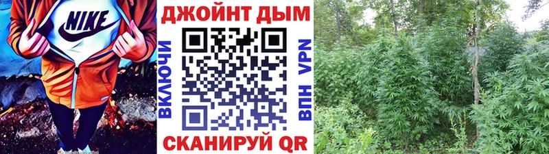 как найти   Шахунья  МАРИХУАНА индика 
